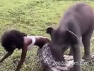ZooZooPorn