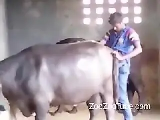 ZooZooTube